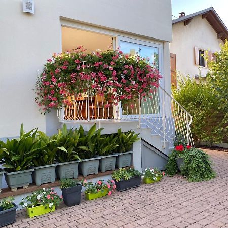 Appartement Le Jardin 링골쉐임 외부 사진