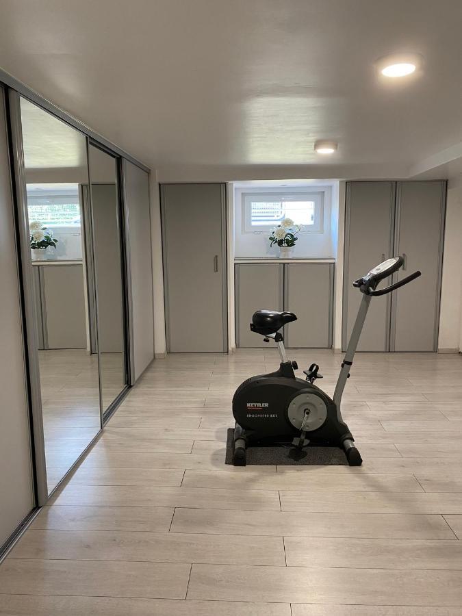 Appartement Le Jardin 링골쉐임 외부 사진